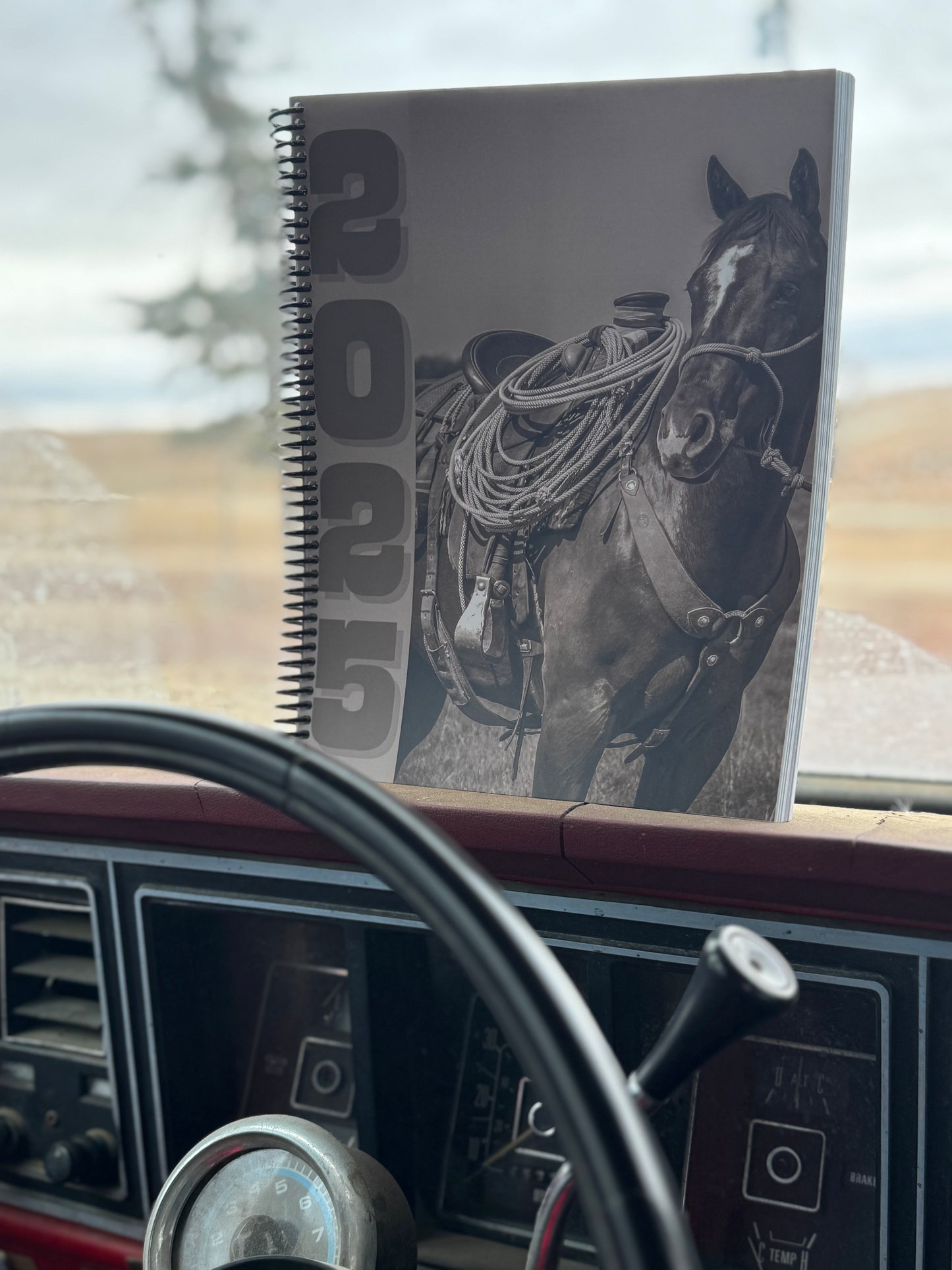 2025 Punchy Planner