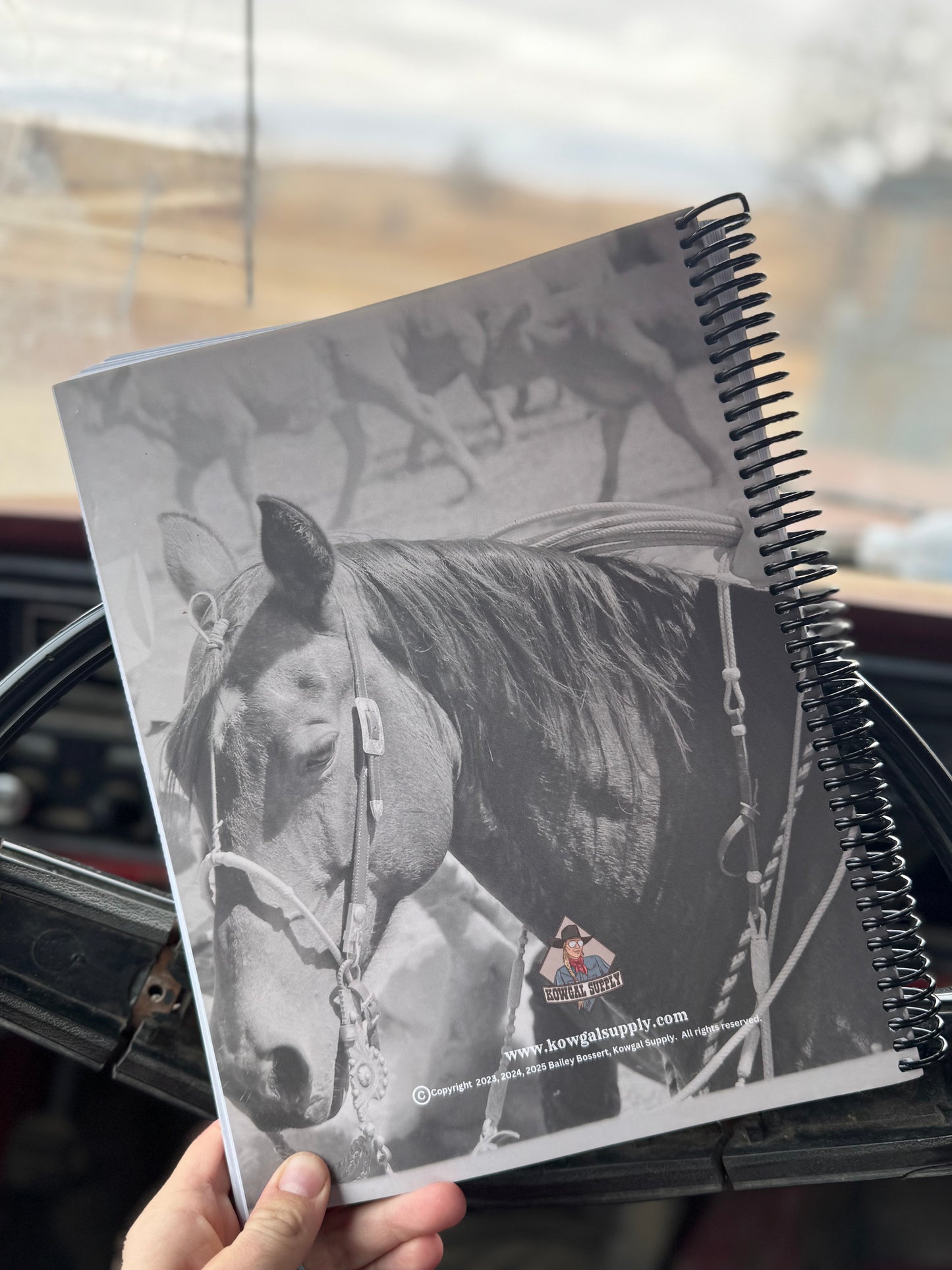 2025 Punchy Planner