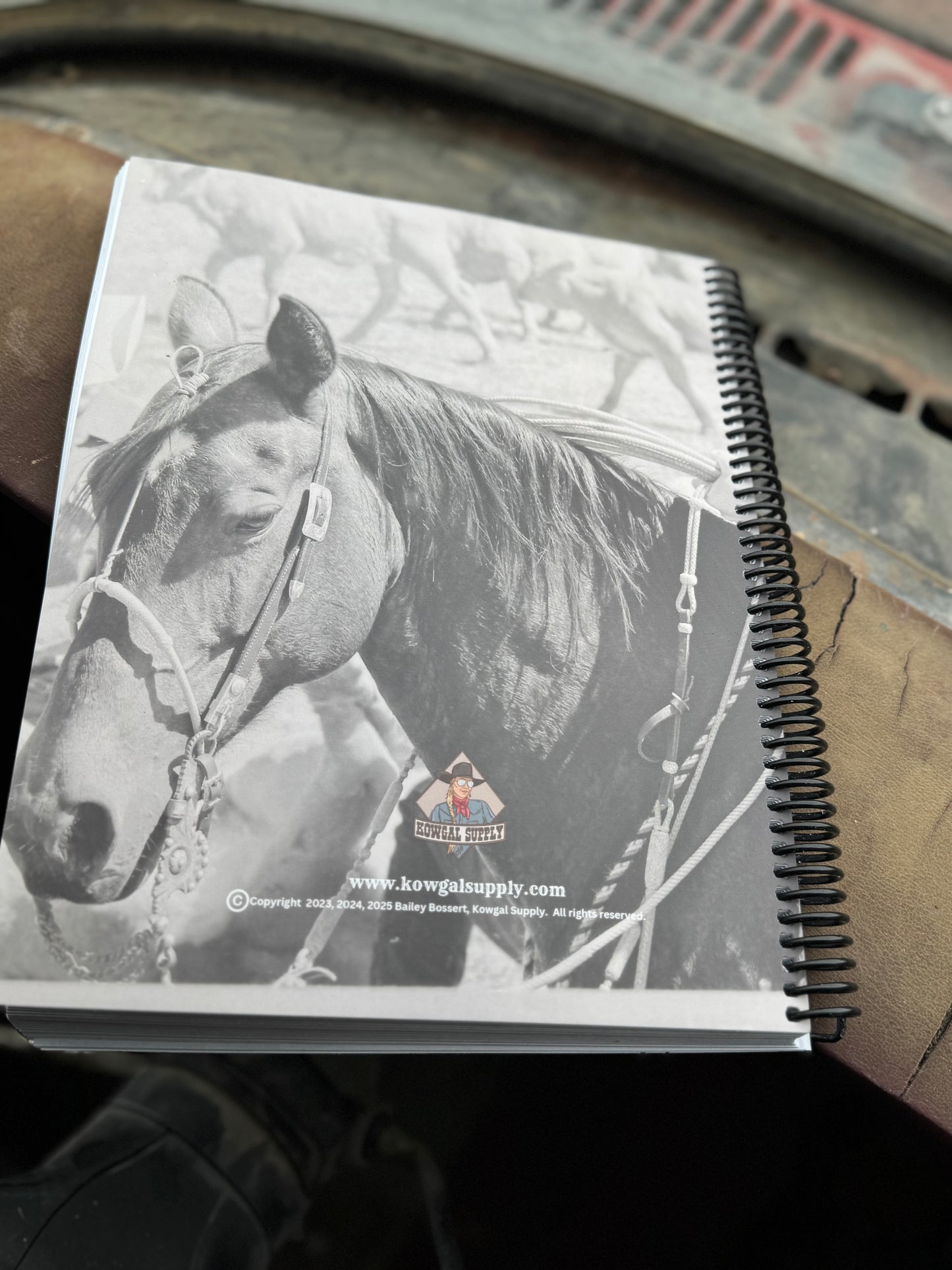 2025 Punchy Planner