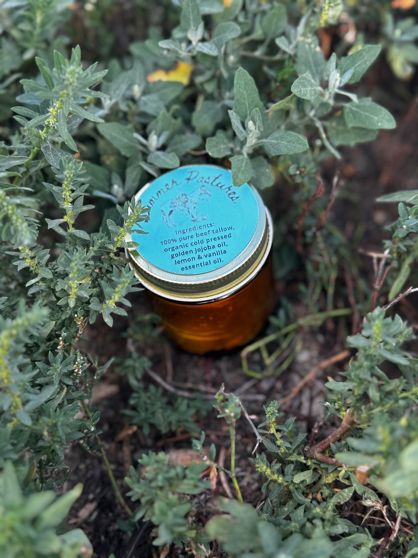 Summer Pastures - Lemon + Vanilla Whipped Cowboy Lotion Beef Tallow Based Skincare Blend
