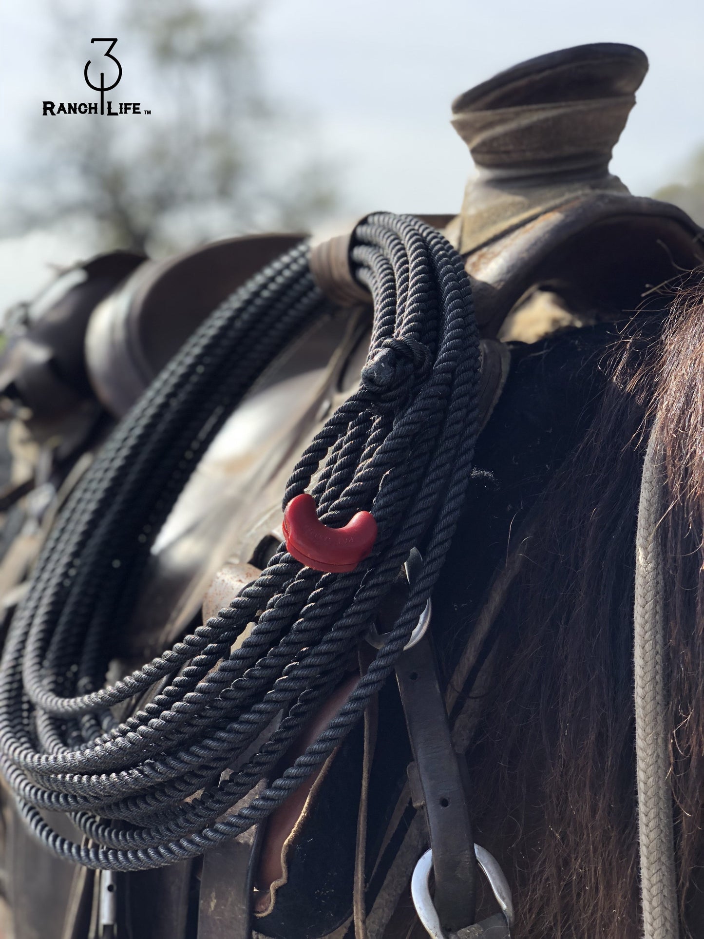 Poly Ranch Rope: The Spade 3 Strand