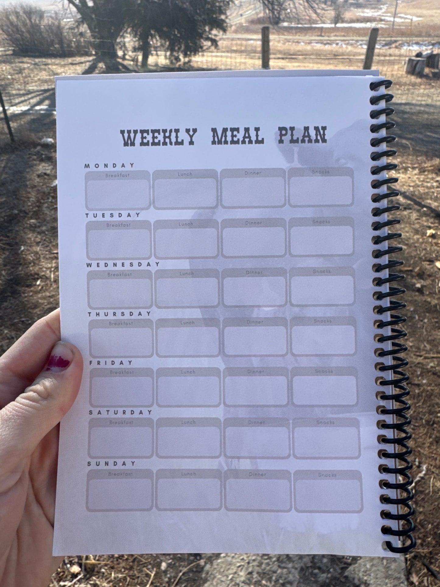 Grocery n Meal Planner