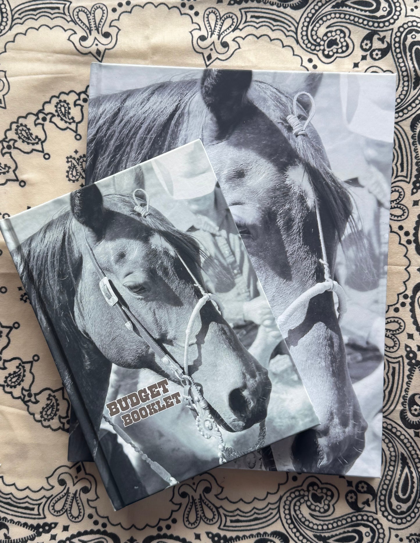 Budget Booklet (In Stock)