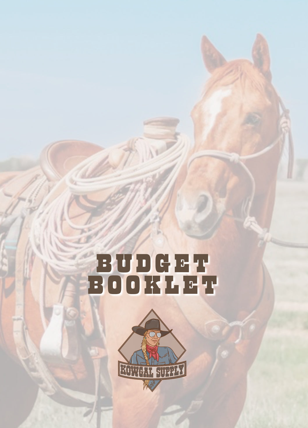 Budget Booklet (In Stock)