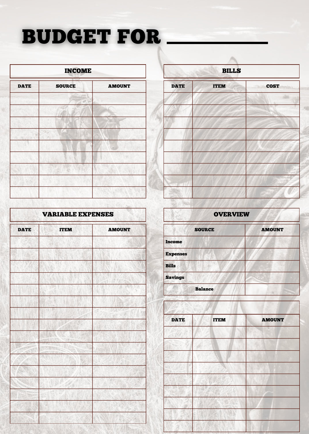 Budget Booklet (In Stock)