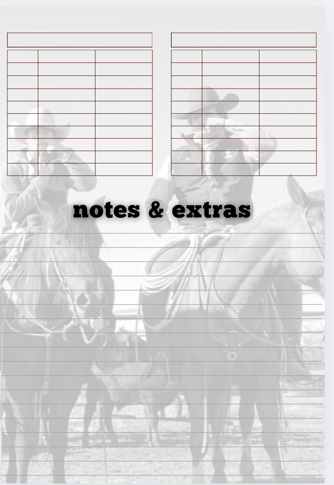 Budget Booklet (In Stock)