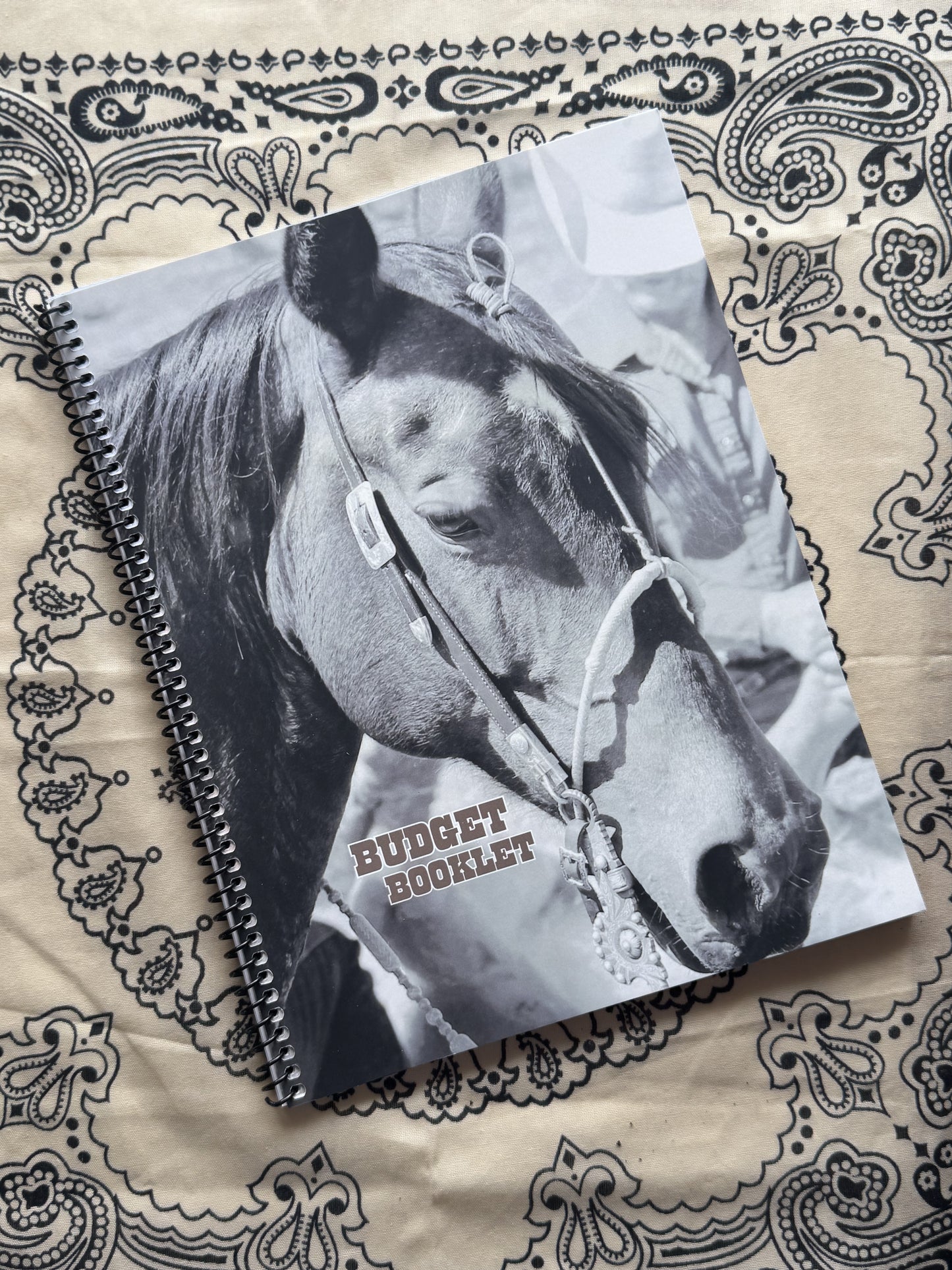 Budget Booklet (In Stock)