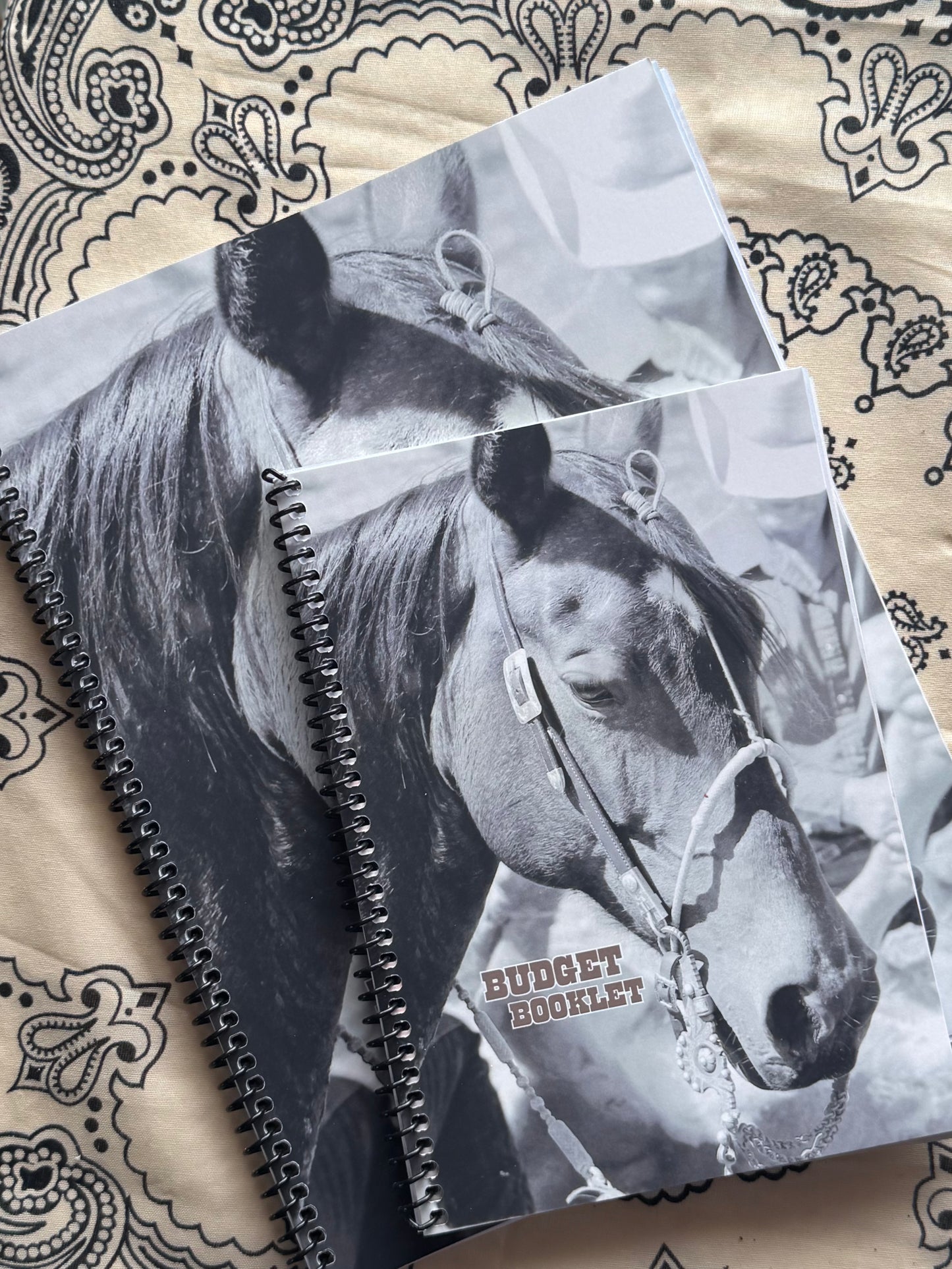 Budget Booklet (In Stock)