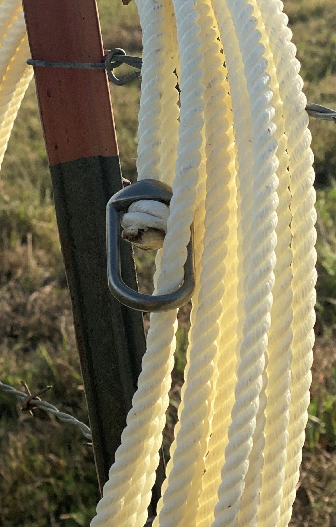 XXXS Nylon/Horse Rope