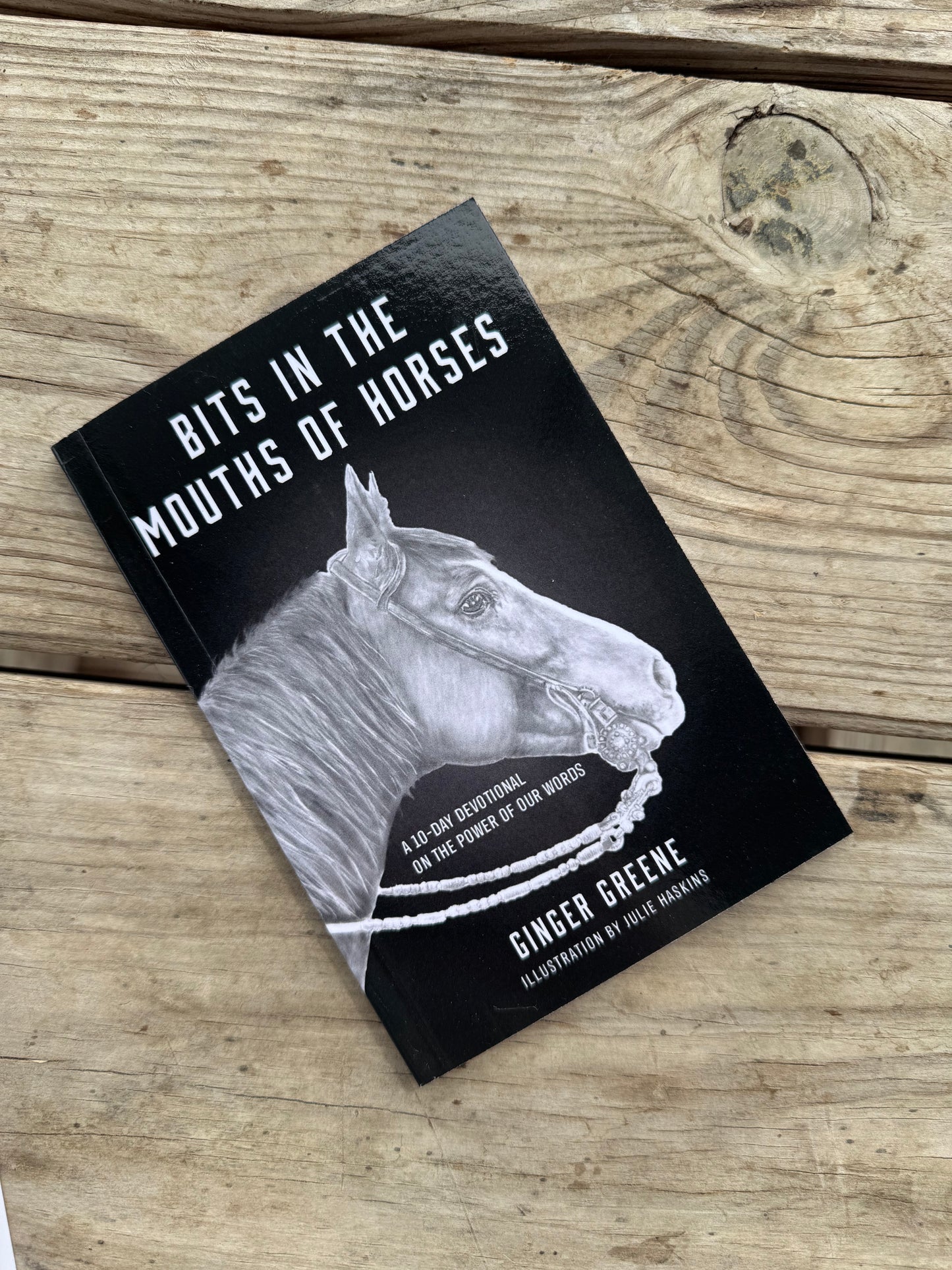 Bits in the Mouths of Horses Devotional