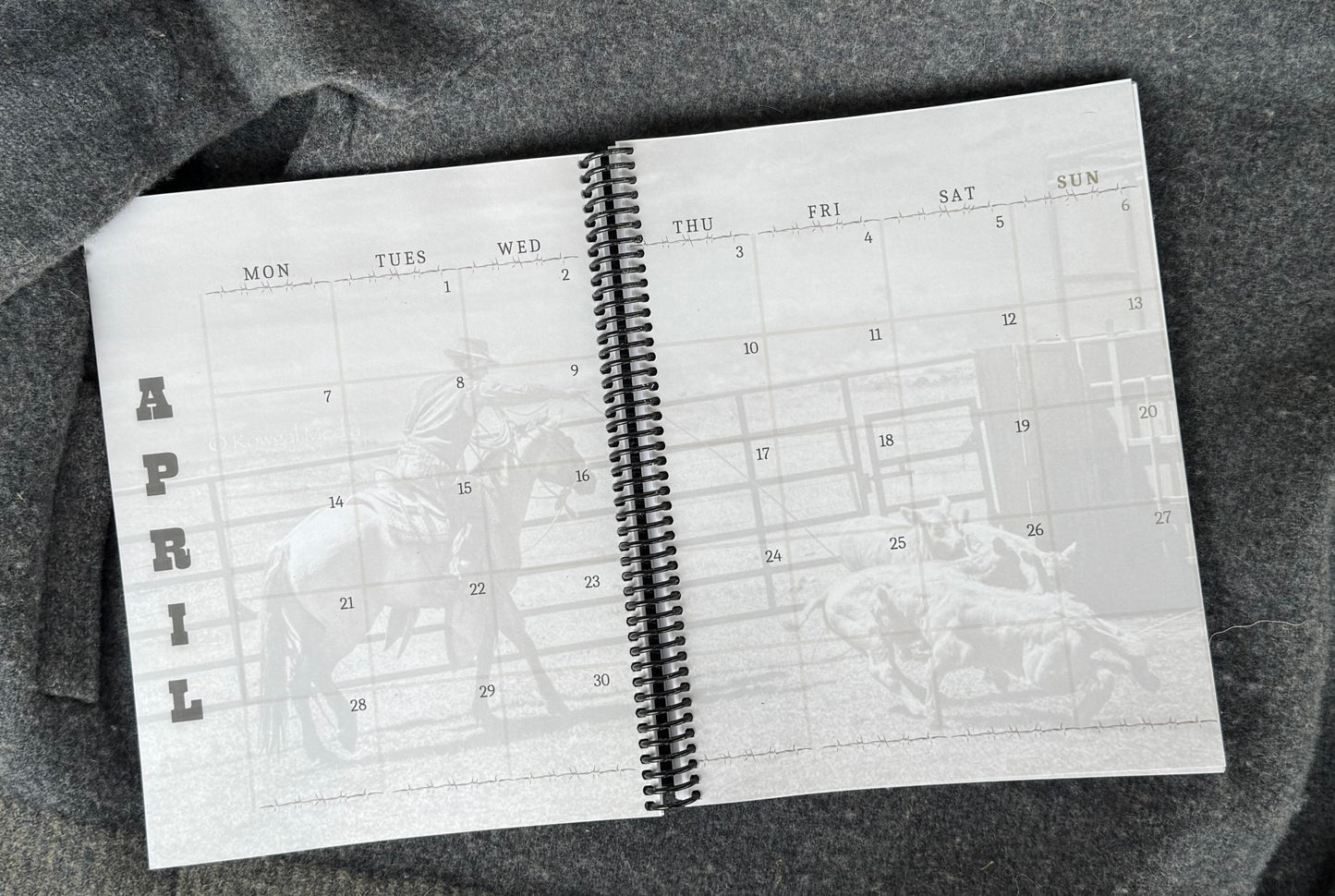 2025 Punchy Planner (IN STOCK!)