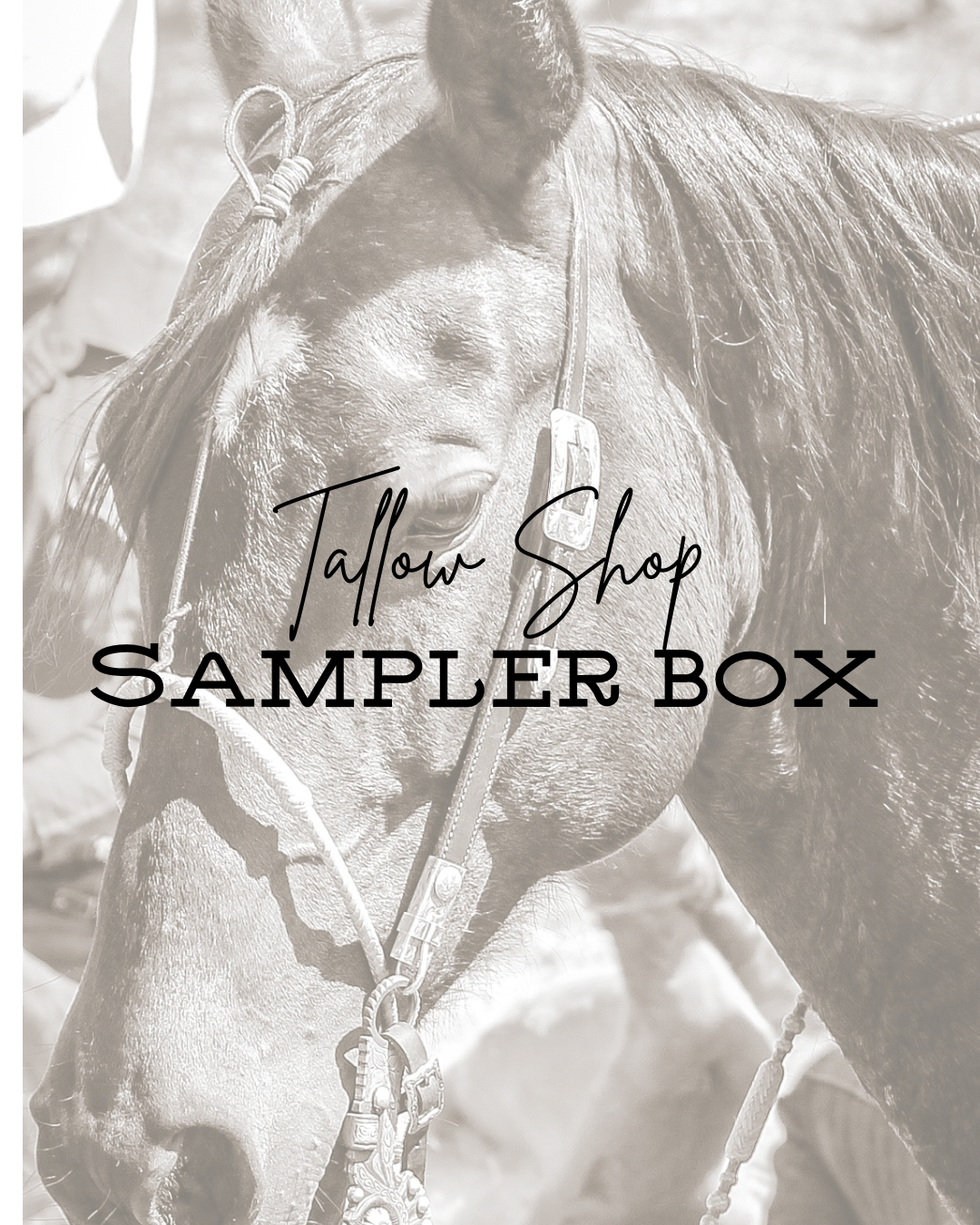 Tallow Shop Sampler Box (Pre-Order)