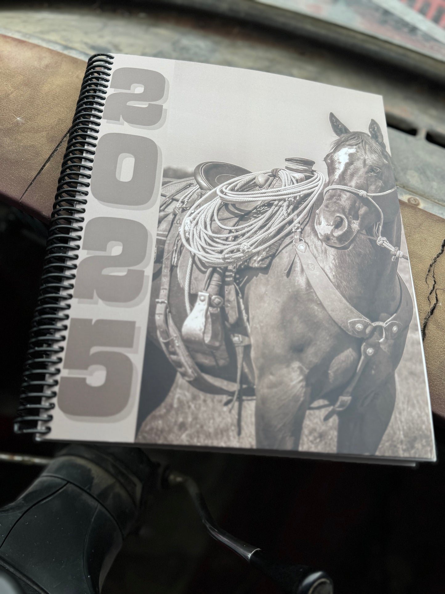 2025 Punchy Planner (IN STOCK!)