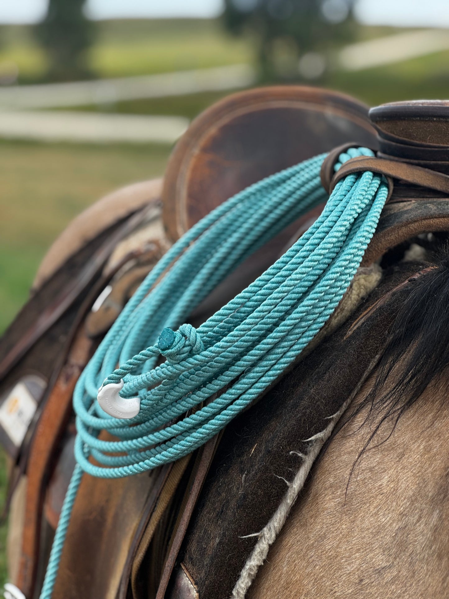 Poly Ranch Rope: The Caiman