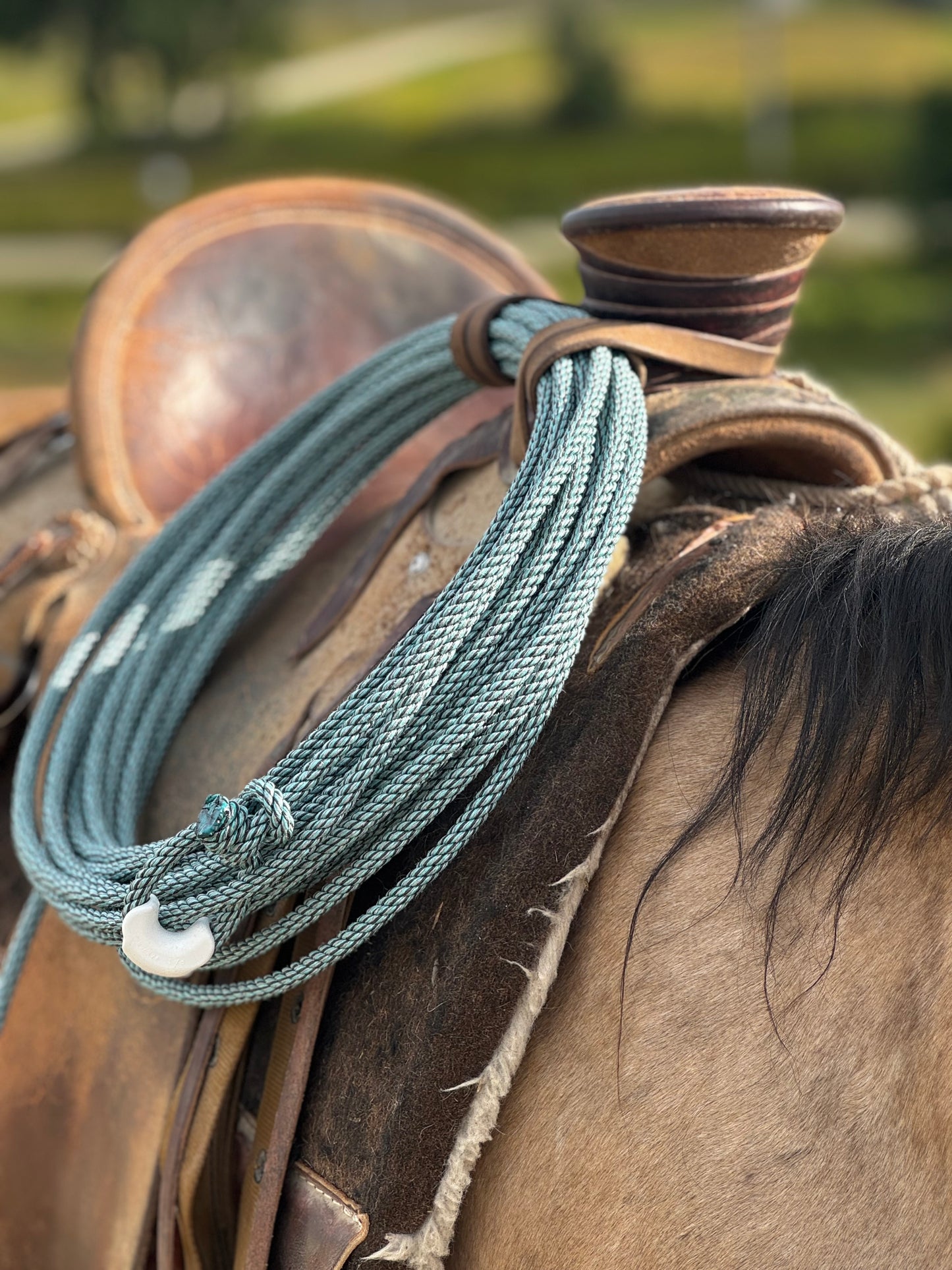 Poly Ranch Rope: The Pit Viper ~ 3 Strand