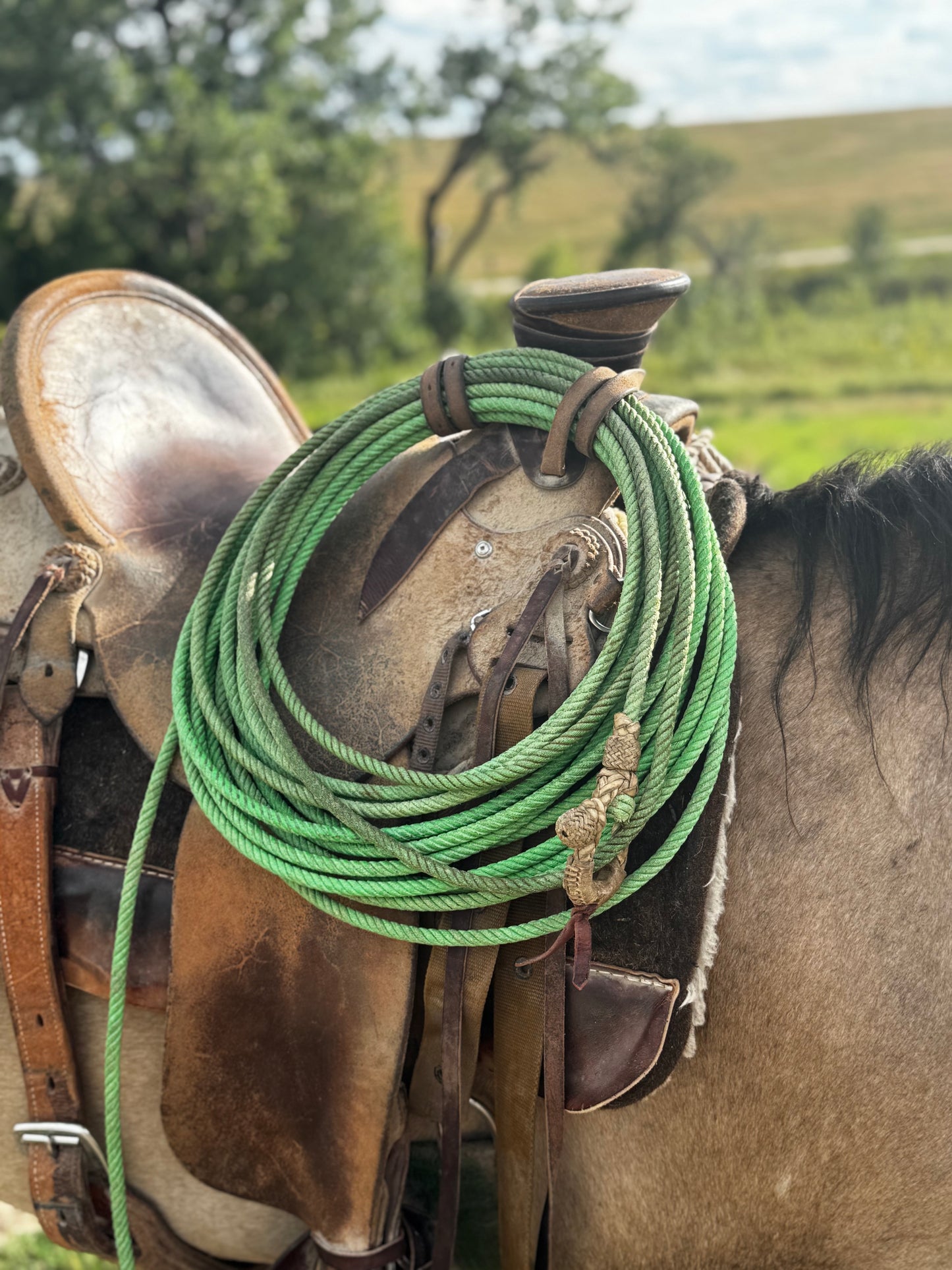 4 Strand Poly Ranch Rope: The Shamrock