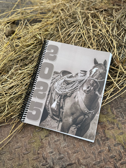 2025 Punchy Planner (IN STOCK!)