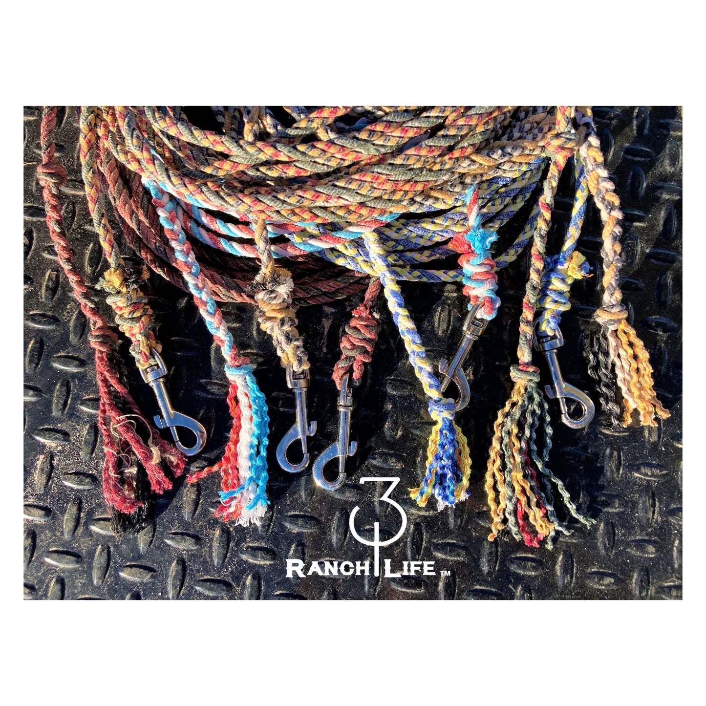 Dog Training Leash