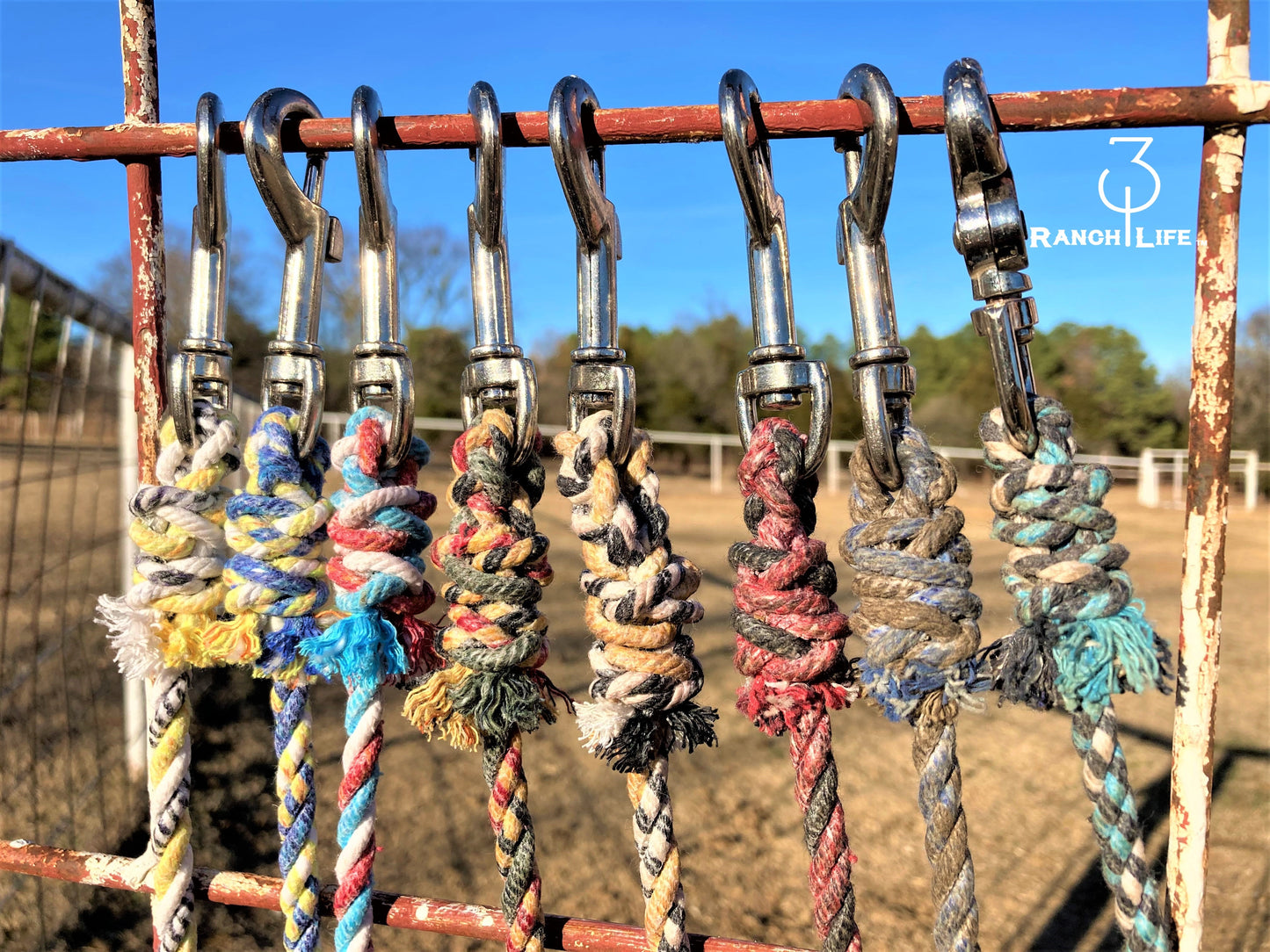 Dog Training Leash