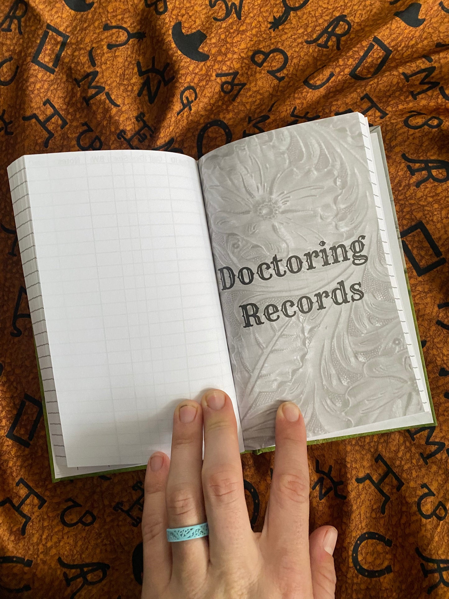 Doctoring Record Books