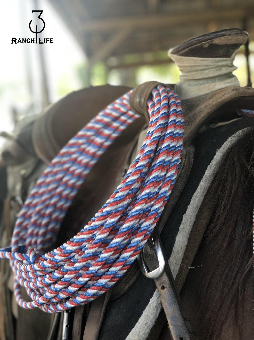 3:10 Poly Ranch Rope: The Patriot