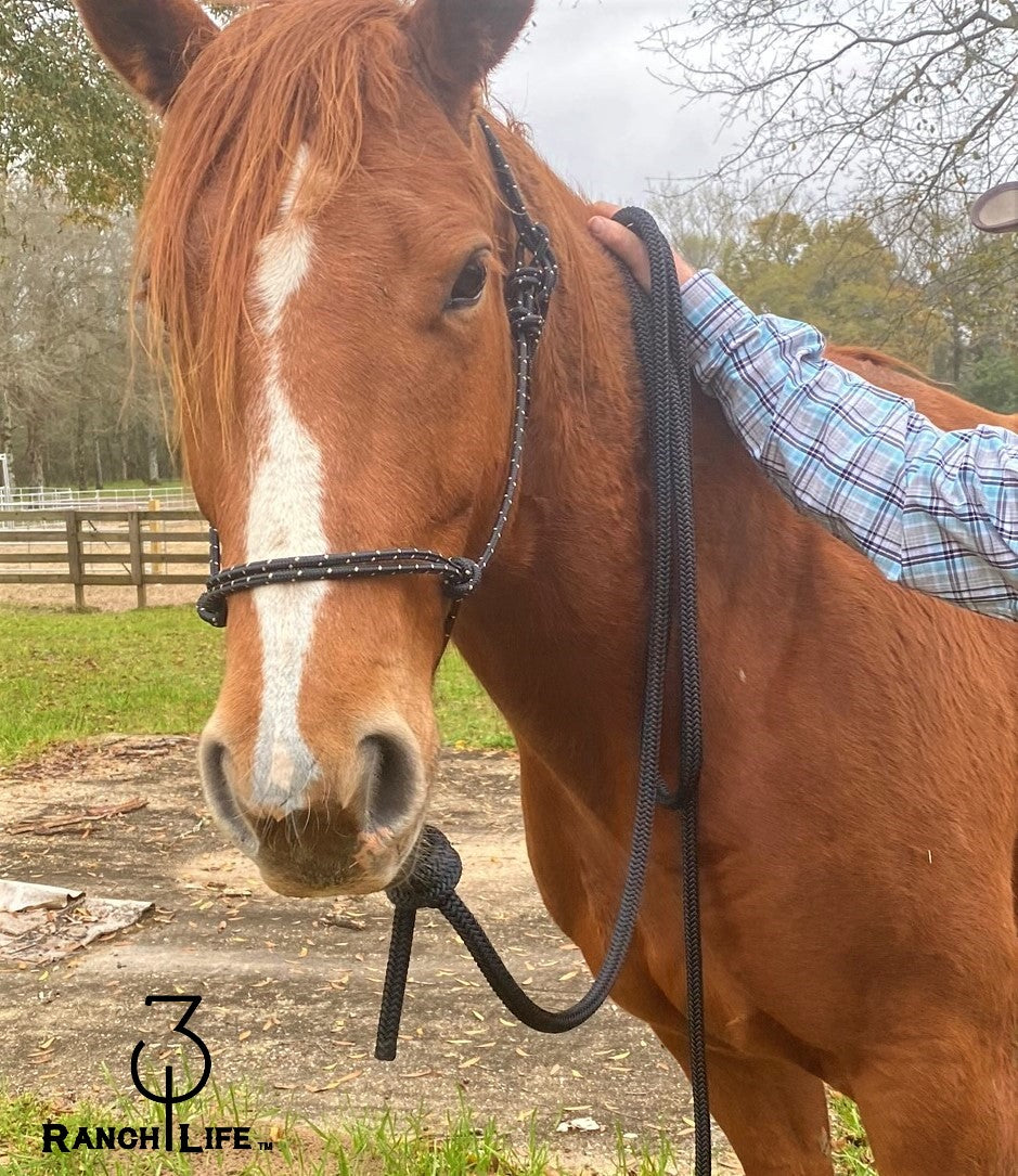 Halters & Lead Ropes