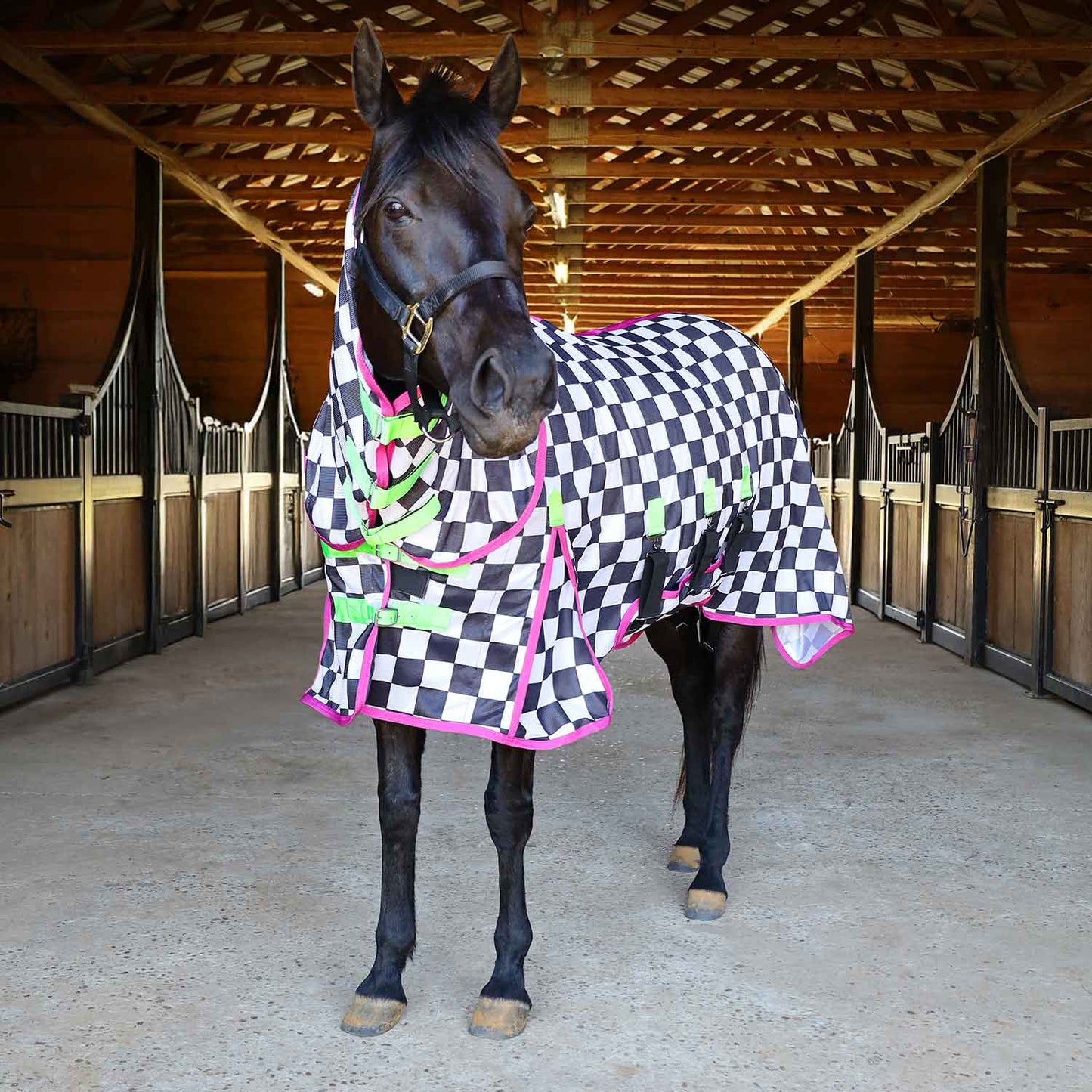 Expression Softmesh Combo Neck Horse Fly Sheet