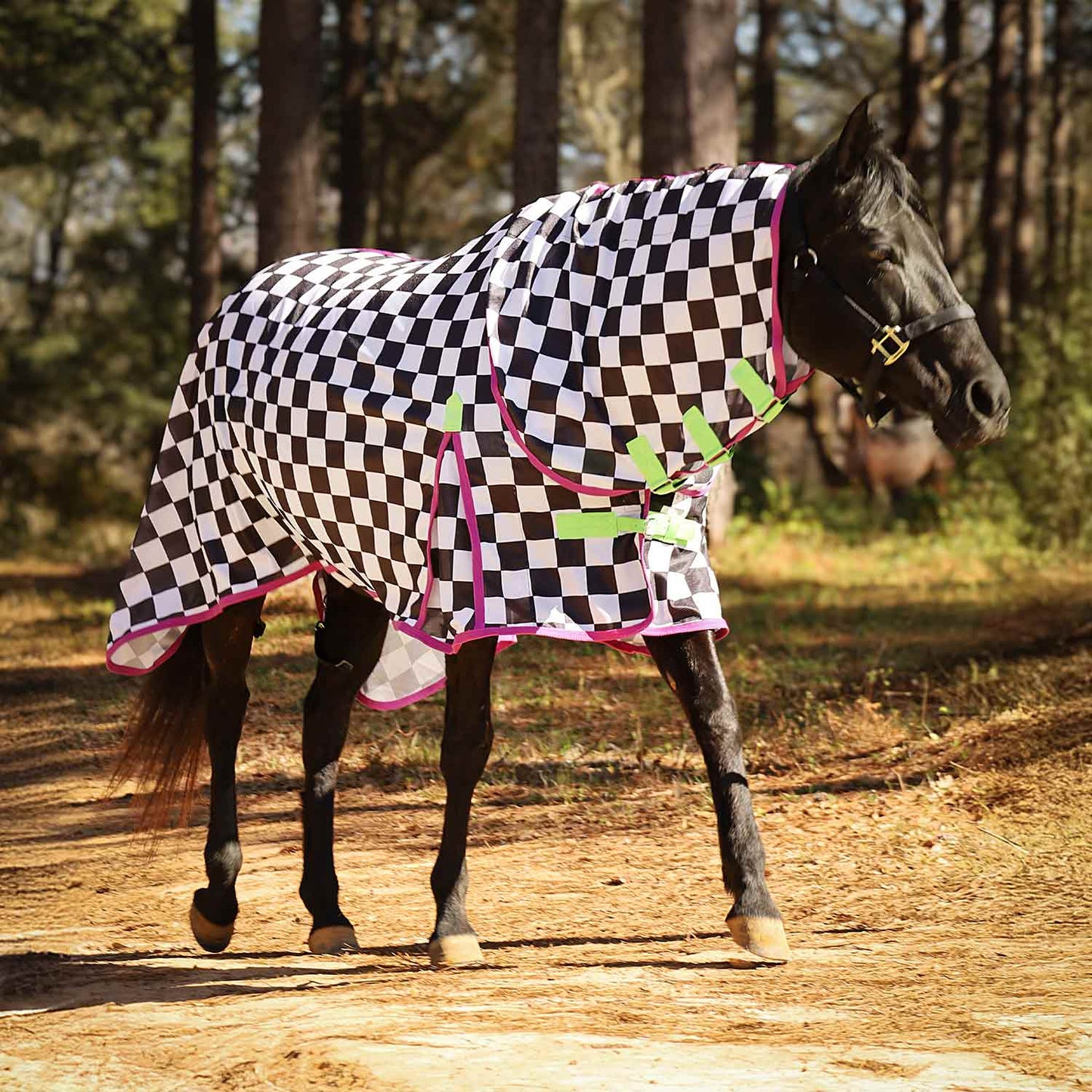 Expression Softmesh Combo Neck Horse Fly Sheet