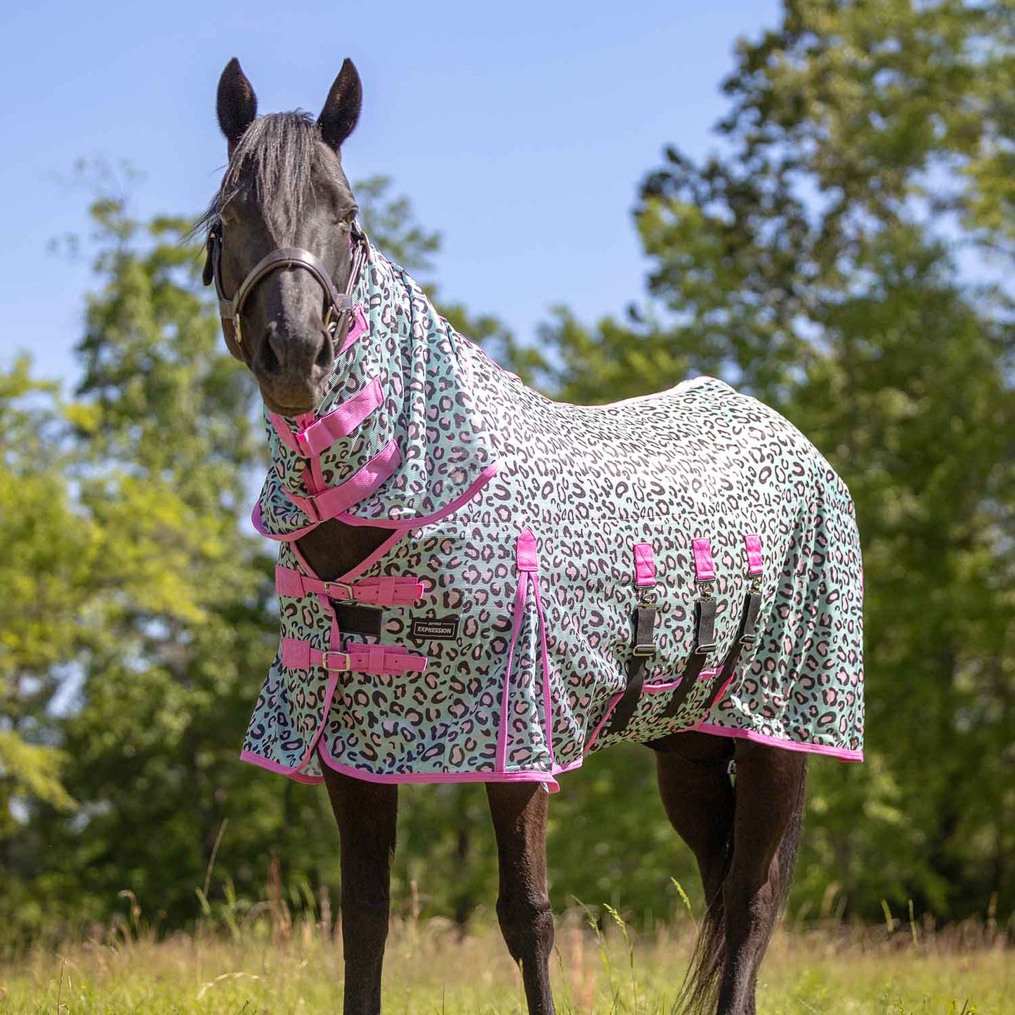 Expression Softmesh Combo Neck Horse Fly Sheet