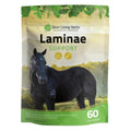 Laminae Support for Horses